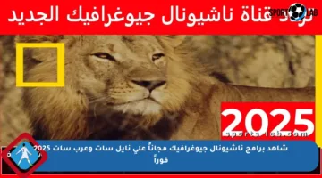 شاهد برامج ناشيونال جيوغرافيك مجاناً على نايل سات وعرب سات 2025 فوراً